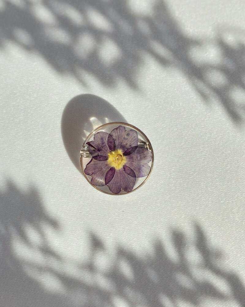 Broš simbol novih početaka